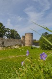 IMG_3809.jpg