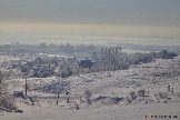 IMG_4452.jpg