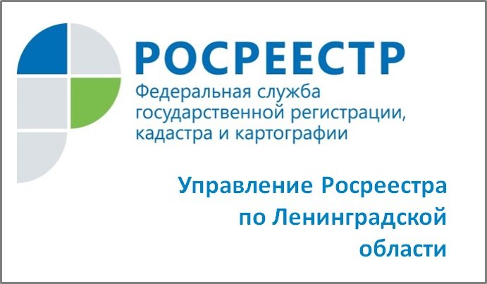 Управление Росреестра по Ленинградской области консультирует собственников недвижимости