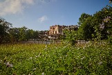 f3f9810f-0995-4e46-90fe-1f0cc1d77fe1.jpg